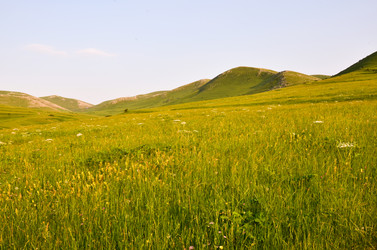 Similar image 6350598