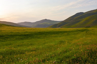 Similar image 6350599