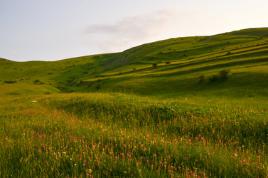 Similar image 6350600