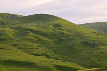 Similar image 6350603