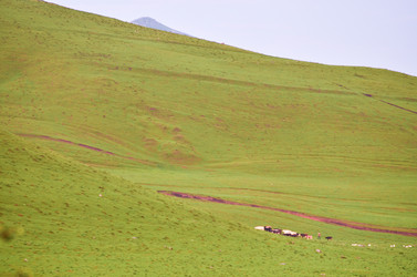 Similar image 6350610