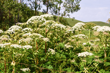 Similar image 6350613