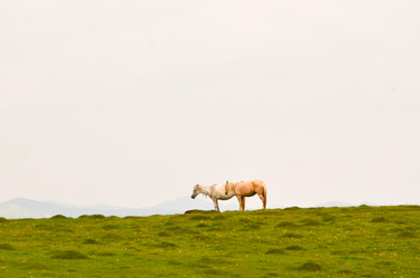 Similar image 6350636