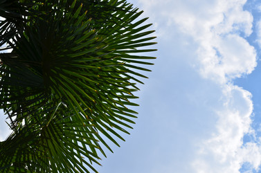 Similar image 6350654