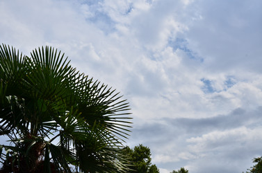 Similar image 6350665