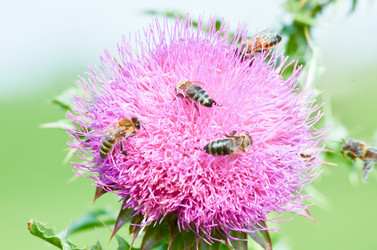 Similar image 6350684