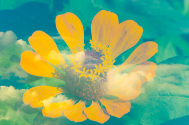 Similar image 6350685