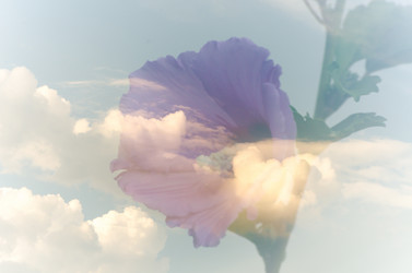 Similar image 6350703