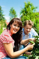 Similar image 6351573