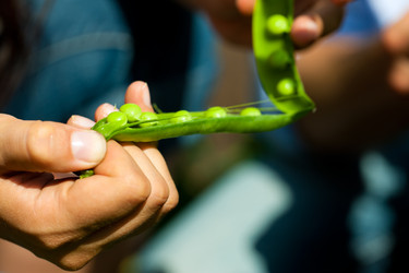 Similar image 6351648