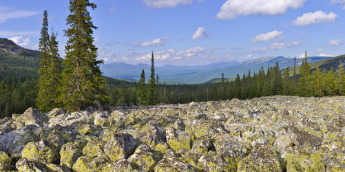 Similar image 6352168