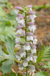 Similar image 6352179