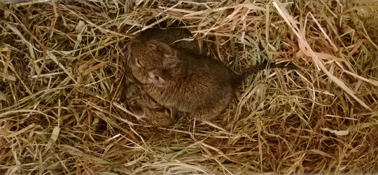 Similar image 6352186