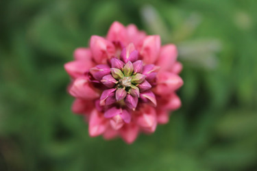 Similar image 6352188