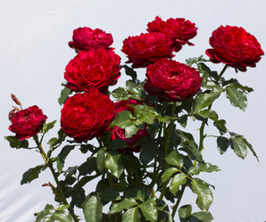 Similar image 6352190