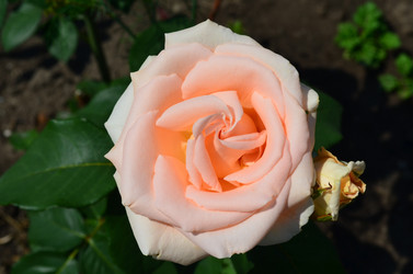 Similar image 6352193