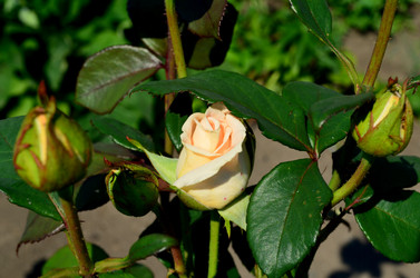 Similar image 6352195