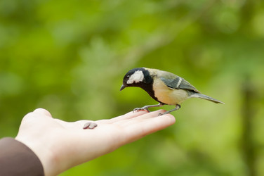 Similar image 6352202