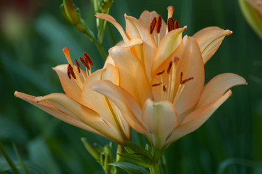 Similar image 6352203