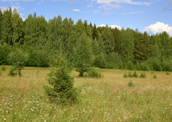 Similar image 6352226