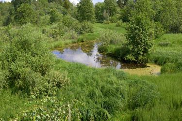 Similar image 6352228