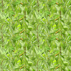 Similar image 6352233