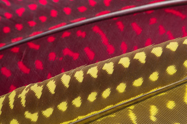 Similar image 6352241