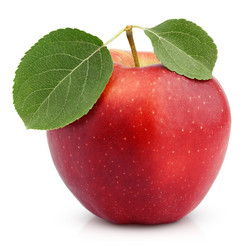 Similar image 6352268