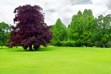 Similar image 6352284