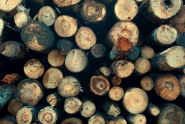 Similar image 6352295