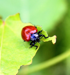 Similar image 6352304