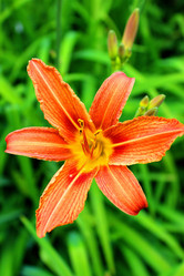 Similar image 6352309