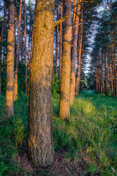 Similar image 6352365