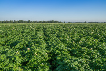 Similar image 6352368