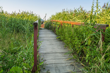 Similar image 6352382