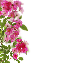 Similar image 6352422