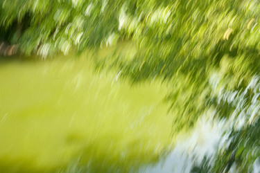 Similar image 6352454