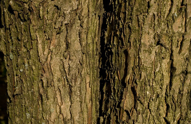 Similar image 6352459