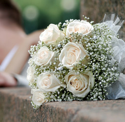 Similar image 6352481