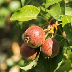 Similar image 6352484