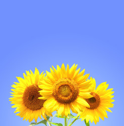 Similar image 6352493