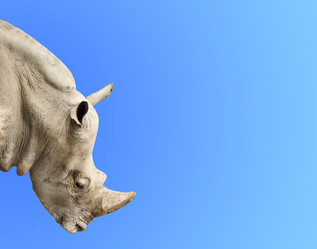 Similar image 6352495