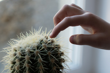 Similar image 6352506