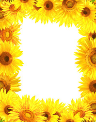 Similar image 6352525