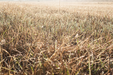 Similar image 6352527