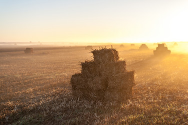 Similar image 6352532