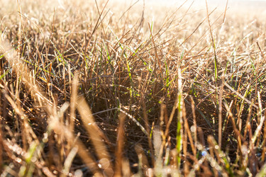 Similar image 6352537