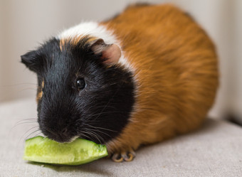 Similar image 6352539