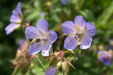 Similar image 6352546