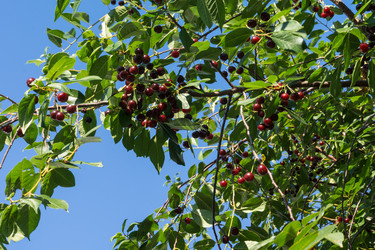 Similar image 6352552